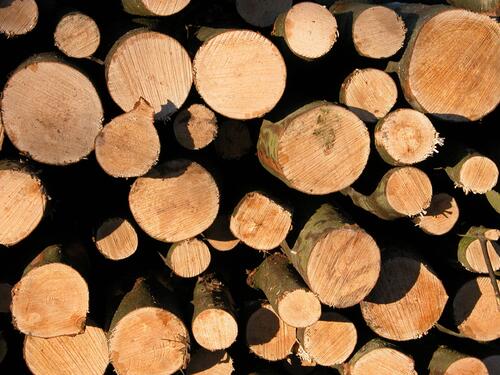 Holz &copy; Burkhard Kaiser/piclease 