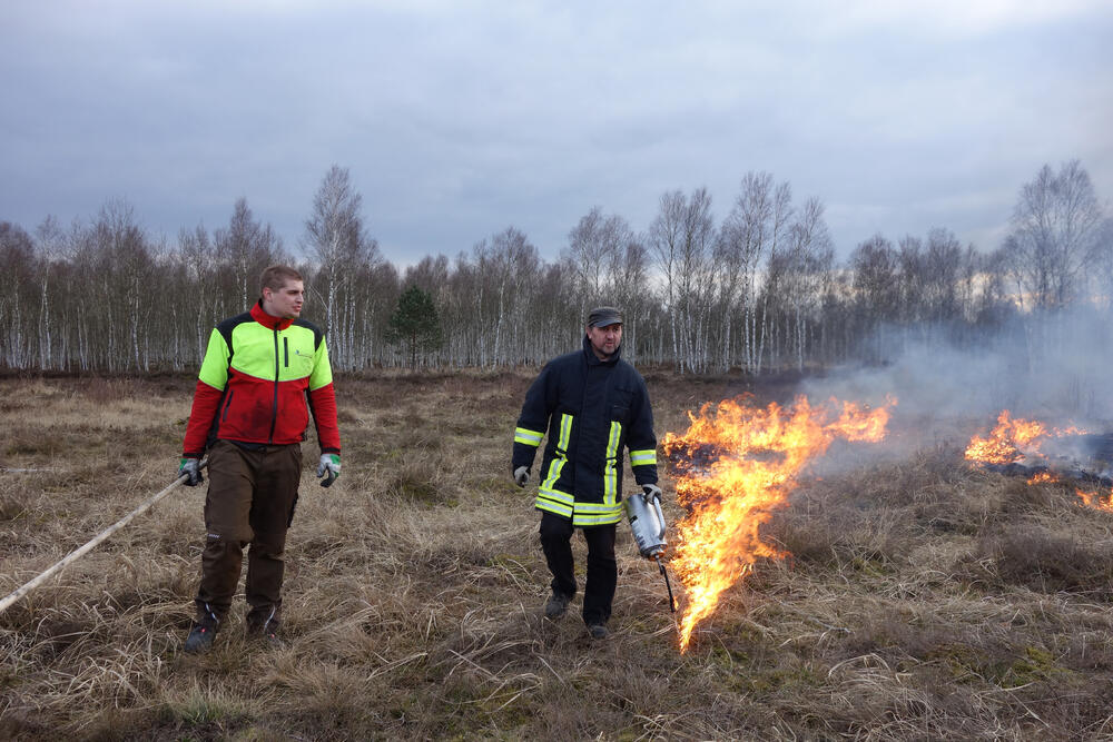 Kontrolliertes Brennen pflegt die Heidelandschaft &copy; Rathmann/Bundesforst