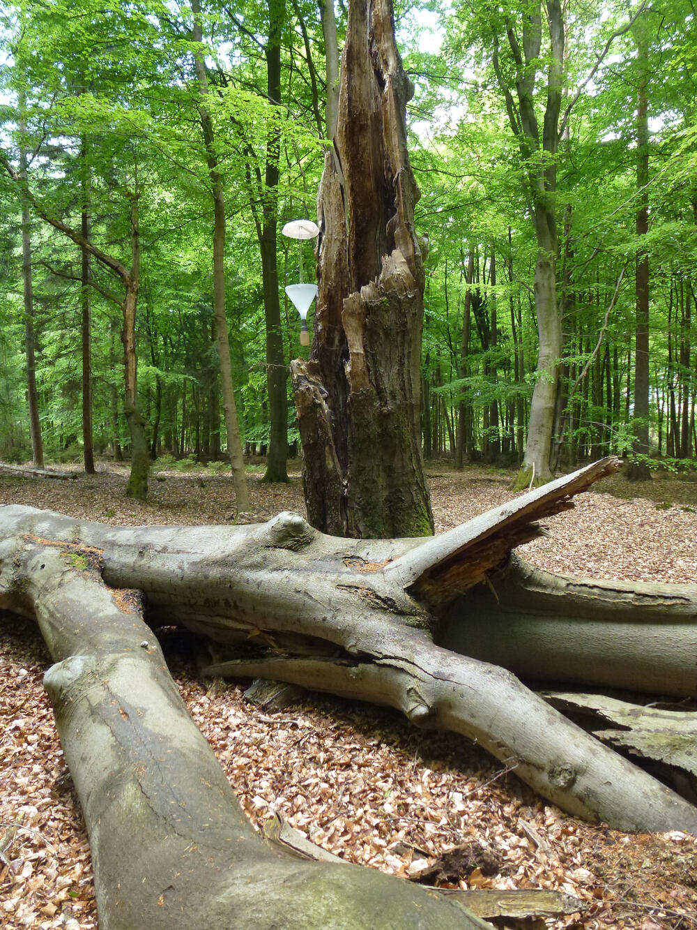 Titelbild WiNat-Tagung © Dr. Heike Schneider (DBU)