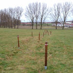 DBU-Naturerbefläche Herzogsberge Wiesenweg © Sabrina Brumme/DBU Naturerbe