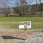 Weide und Infotafel Borken © Sabrina Jerrentrup/DBU