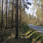 DBU-Naturerbefläche Daubaner Wald © Günther Körner/Bundesforst