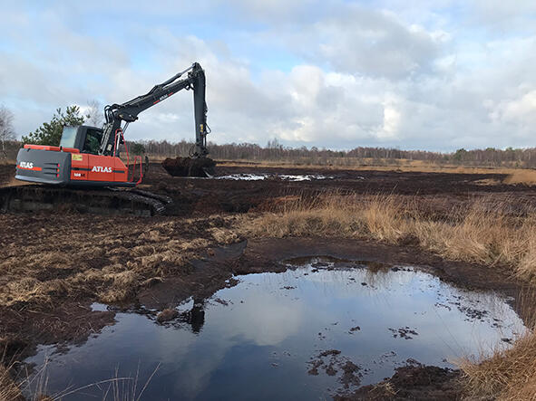 Wiedervernässungsmaßnahme im Diepholzer Moor © Deutsche Gesellschaft für Moor- und Torfkunde (DGMT) e. V.