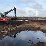 Wiedervernässungsmaßnahme im Diepholzer Moor © Deutsche Gesellschaft für Moor- und Torfkunde (DGMT) e. V.