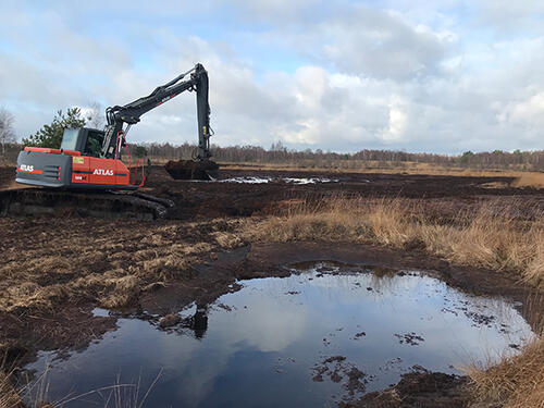 Wiedervernässungsmaßnahme im Diepholzer Moor © Deutsche Gesellschaft für Moor- und Torfkunde (DGMT) e. V.