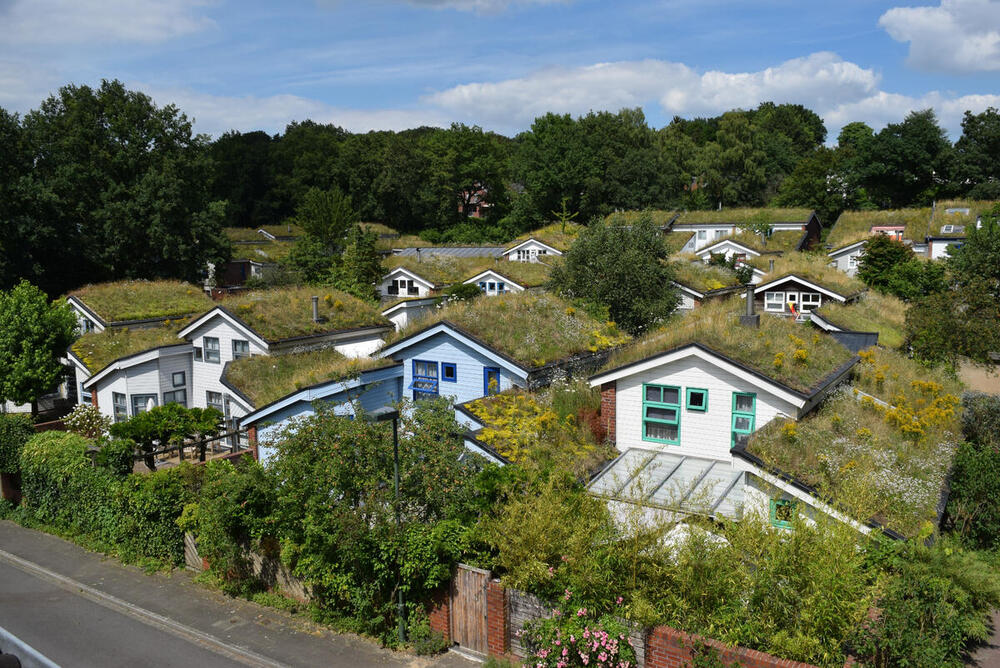 Dachbegrünungen  © BuGG