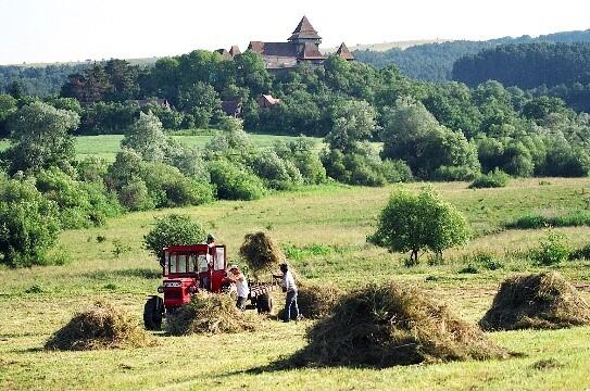AZ 37026 Weide © Projektpartner/Deutsche Bundesstiftung Umwelt