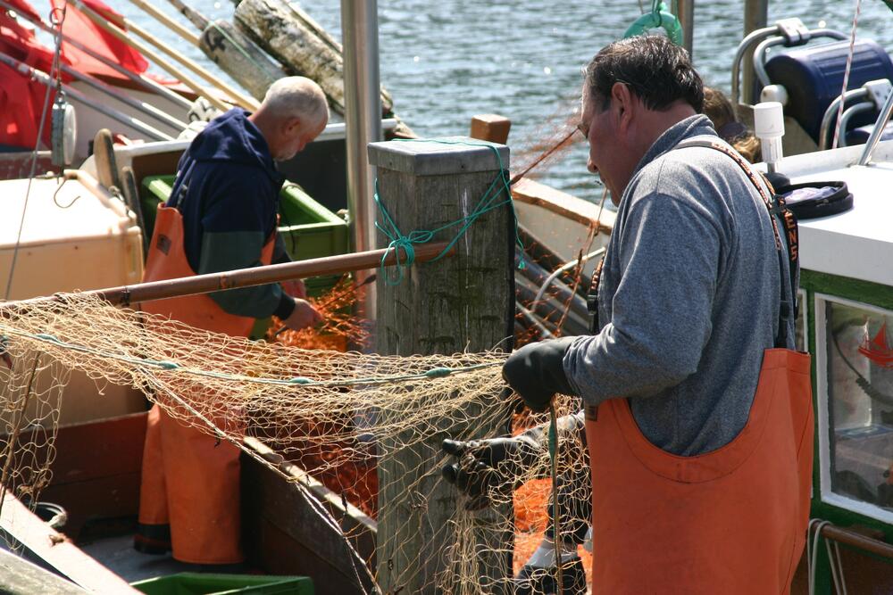Fischer &copy; Paulus, Hans-Gerd/piclease