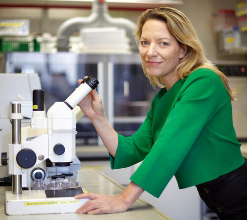 Prof. Dr. Antje Boetius © Jan Riephoff