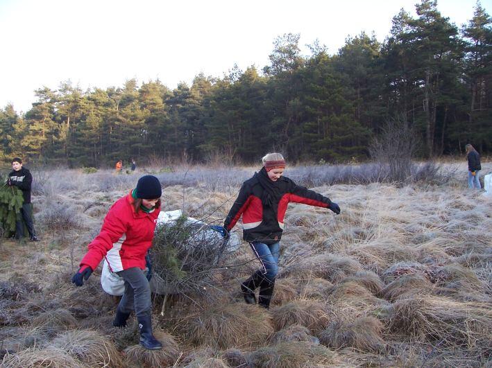 muna 2007 NABU Hambergen Entusselungsmaßnahme © NABU Hambergen