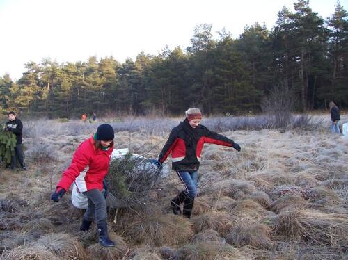 muna 2007 NABU Hambergen Entusselungsmaßnahme © NABU Hambergen