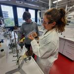 Schwammstadtversuch  © Kerstin Schulte/DBU