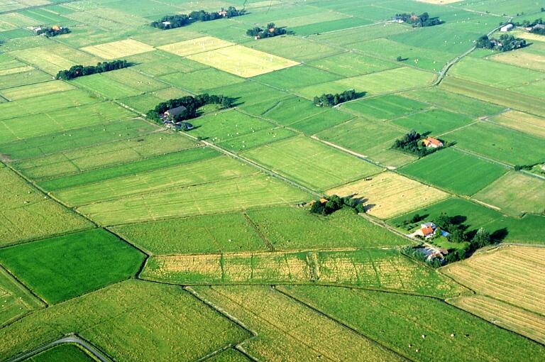 Wiesenvogelgebiet „Stollhammer Wisch“ &copy; Sven Junker