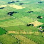 Wiesenvogelgebiet „Stollhammer Wisch“ &copy; Sven Junker