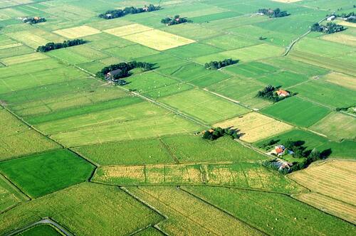 Wiesenvogelgebiet „Stollhammer Wisch“ &copy; Sven Junker