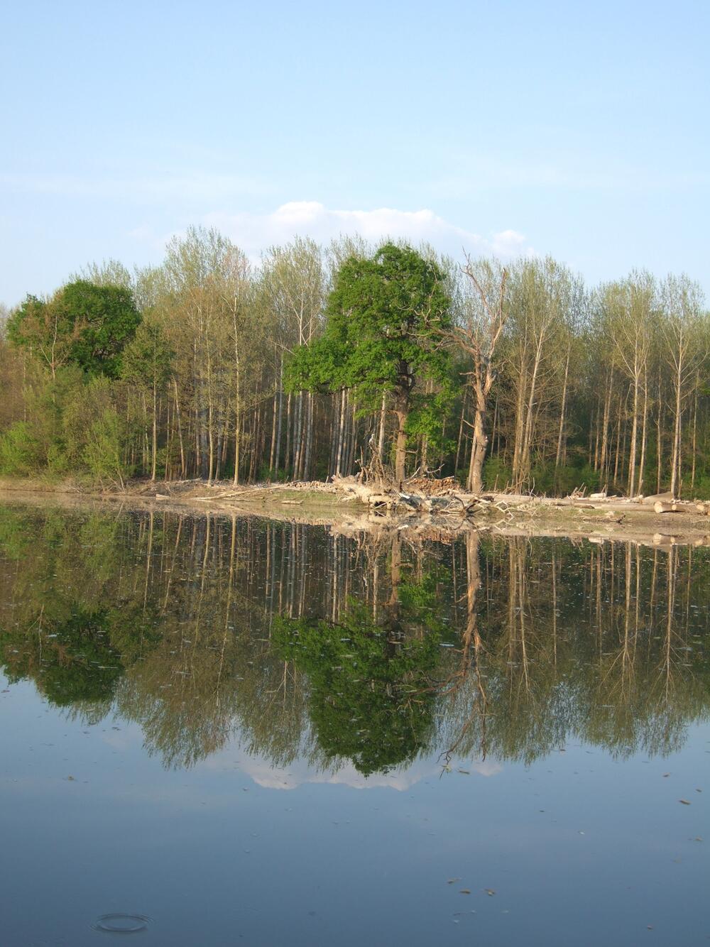 Auenlandschaft der Donau &copy; Dr. Volker Wachendörfer, DBU