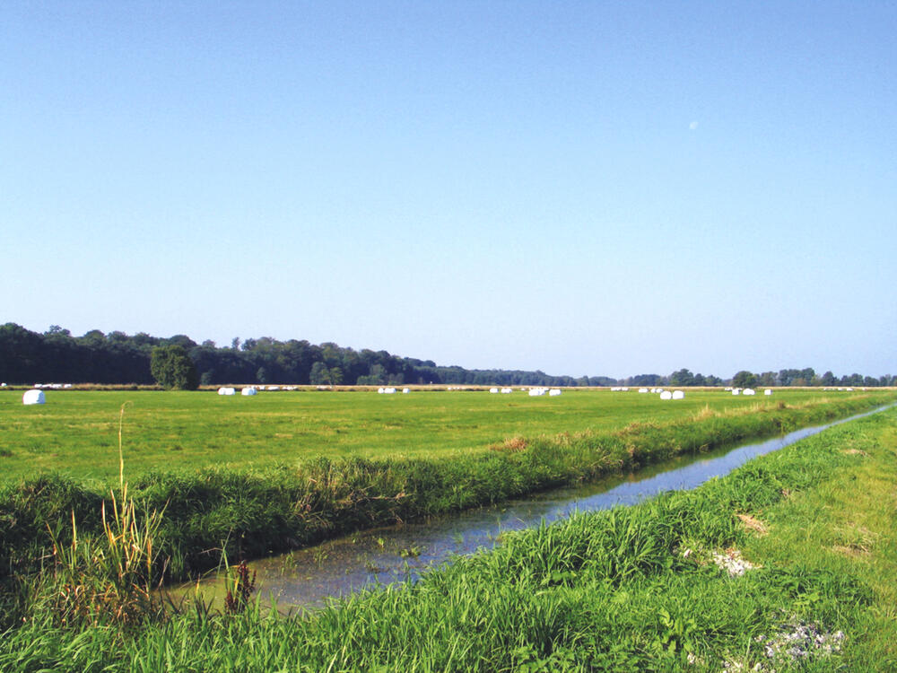 Niedermoor Brudersdorf vor Vernässung 