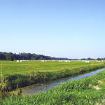 Niedermoor Brudersdorf vor Vernässung 