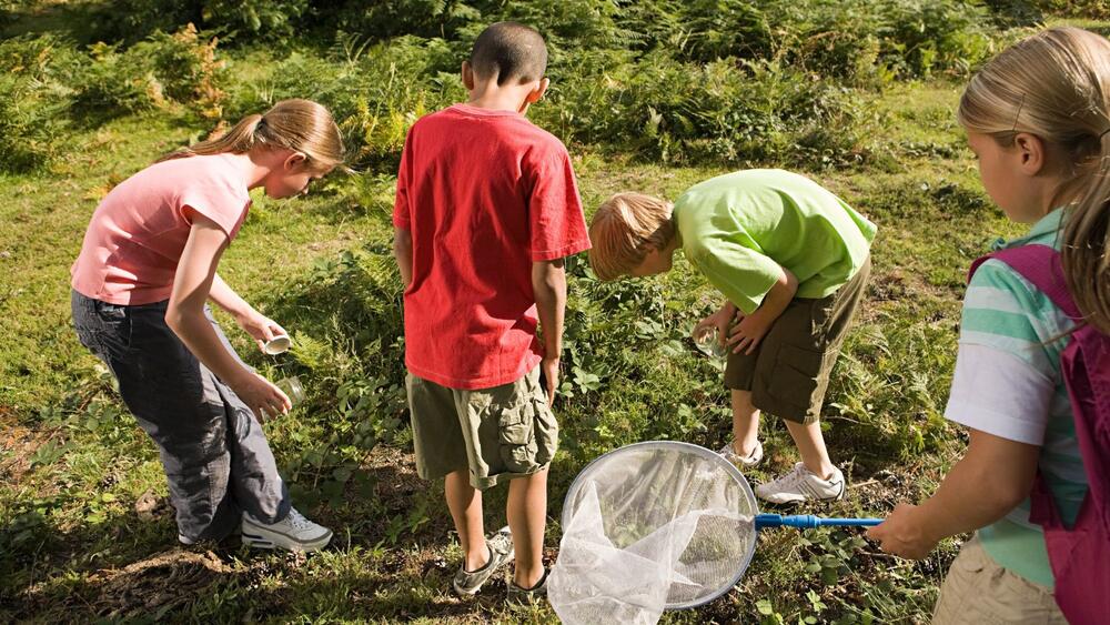 Kinder, Natur, Bildung, Veranstaltung, Naturbildung für alle © Canva