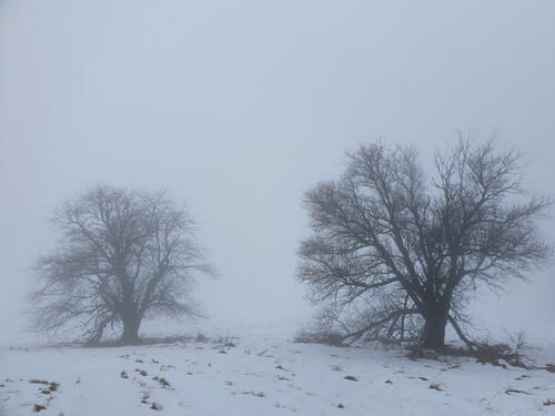 Schnee auf der DBU-Naturerbefläche Stegskopf © Roland Schröder/DBU Naturerbe 