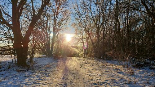 Winter am Stegskopf © Christof Hast/ Bundesforst