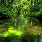 PM-034-2022 Weltwassertag_1©Dr. Reinhardt Altmüller © Dr. Reinhardt Altmüller