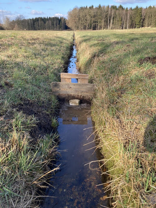 PM-034-2022 Weltwassertag_2©Andreas Peters © Andreas Peters