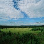 DBU Naturerbe Tennenlohe © Norbert Rosing