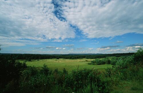 DBU Naturerbe Tennenlohe © Norbert Rosing