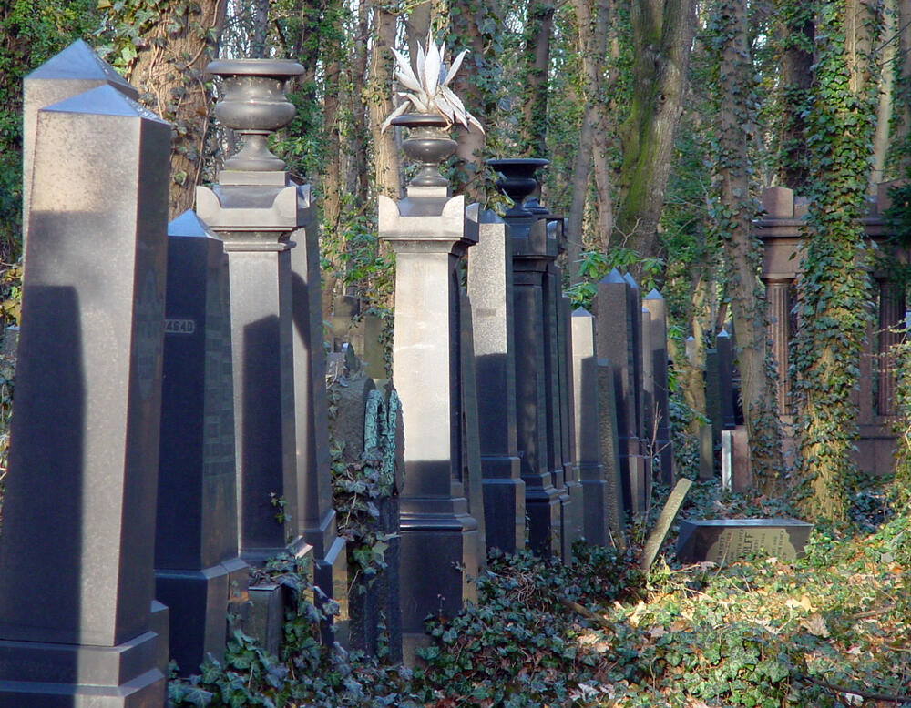 Sehen Sie selbst... © Ingo Kowarik/TU Berlin