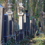 Sehen Sie selbst... &copy; Ingo Kowarik/TU Berlin