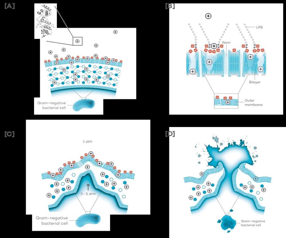 Physikalische Wirkweise des Artilysin®s (Schema) © DBU-Projektpartner