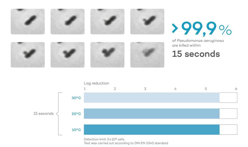 Aktivität des Artilysin®s  © DBU-Projektpartner
