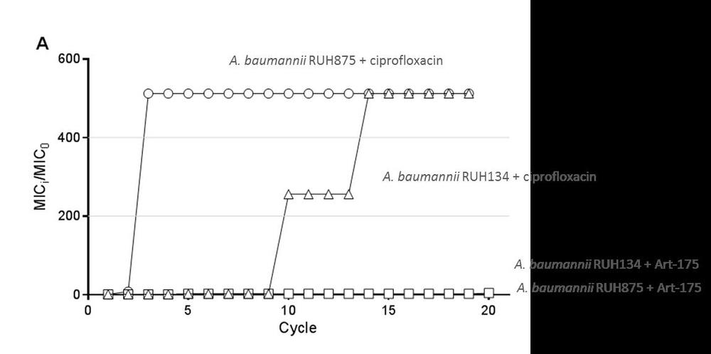 Resistenzentwicklung von Artilysin®  © DBU-Projektpartner