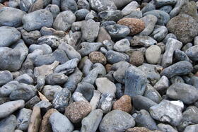 Angespülte Feuersteine &copy; DBU Naturerbe
