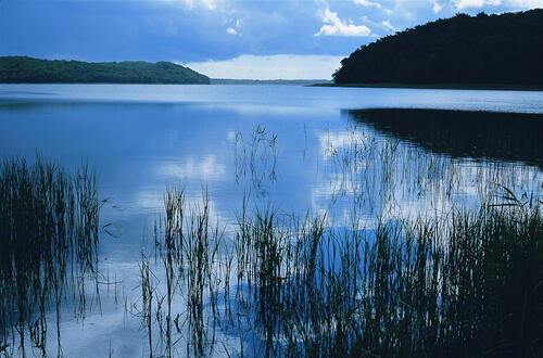 Abendstimmung_Pulitz_Ruegen &copy; Norbert Rosing