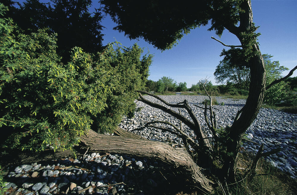 Feuersteinfelder © Norbert Rosing
