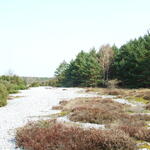 Feuersteinfelder - JuZuVie © Deutsche Bundesstiftung Umwelt