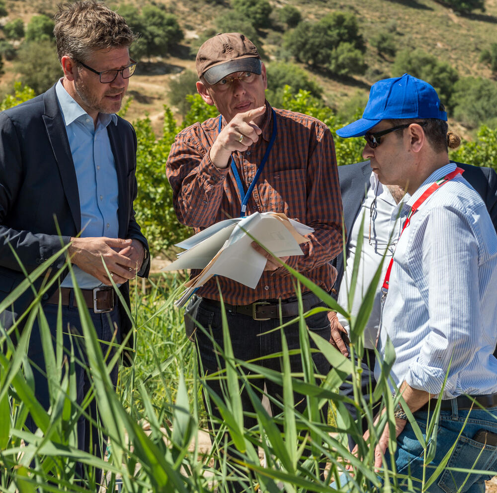 Abwasser- und Schlammbehandlung mithilfe belüfteter Bodenfiltersysteme © André Künzelmann/UFZ
