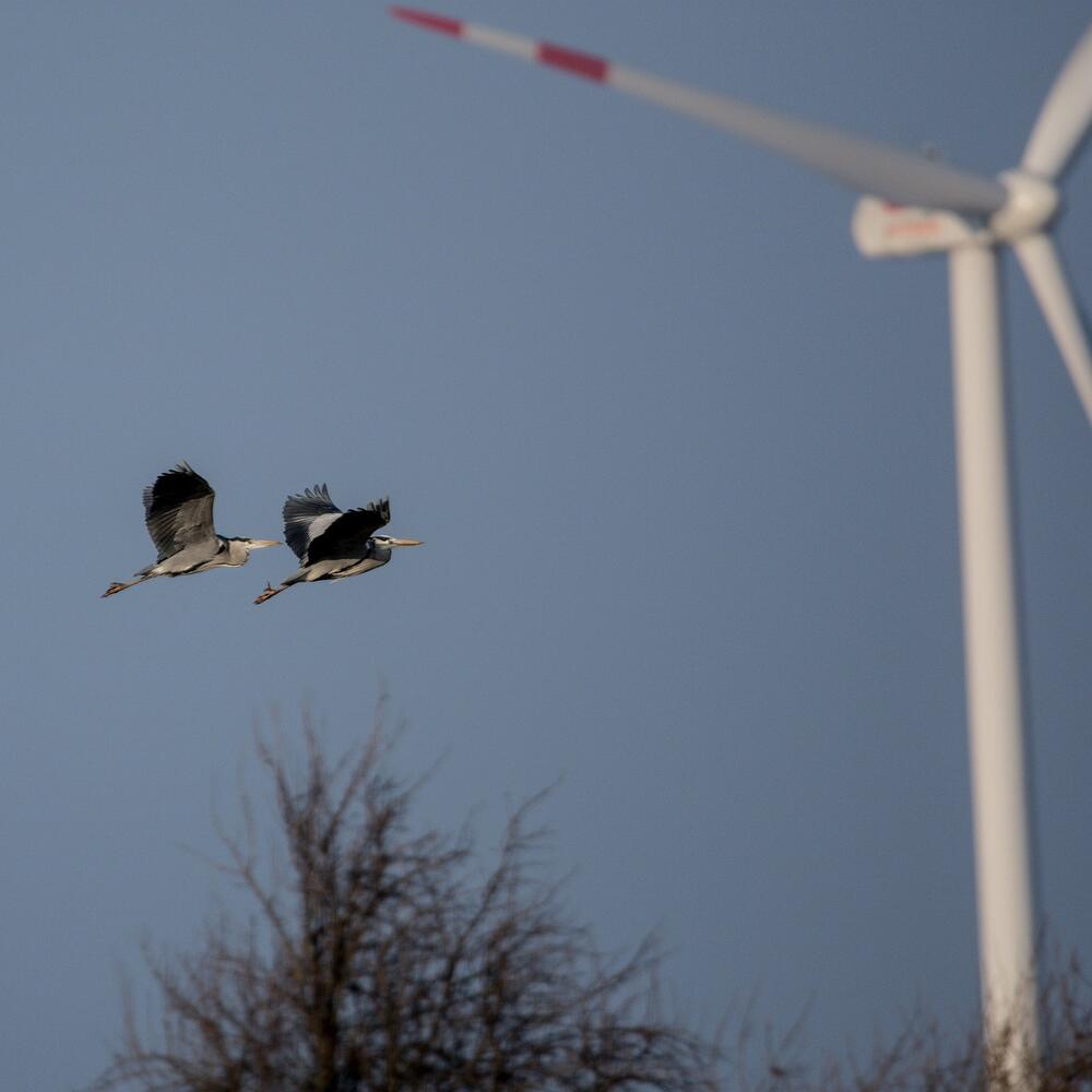 Marschall_Windenergie_Pixabay © Pixabay