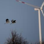 Marschall_Windenergie_Pixabay © Pixabay