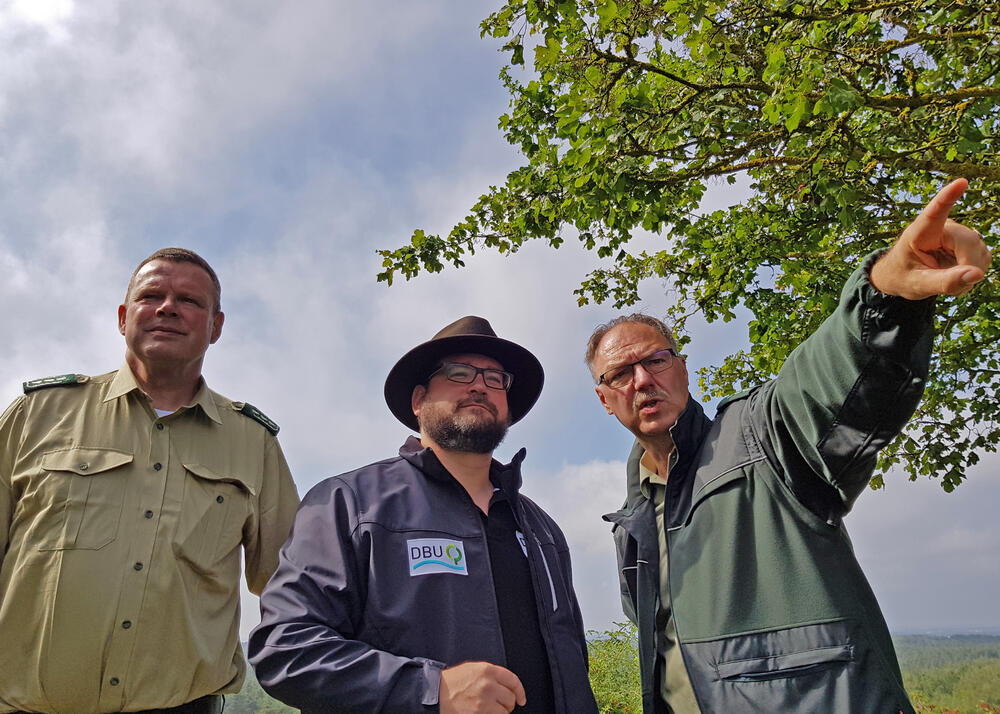 DBU Naturerbe, Tennenlohe © DBU Naturerbe/Denstorf