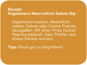 Sehen Sie selbst... © Deutsche Bundesstiftung Umwelt