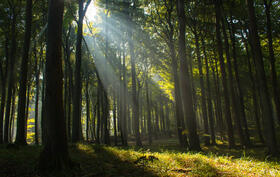 Jugendkongress Biodiversität 2014 © Deutsche Bundesstiftung Umwelt/Jan Temmel