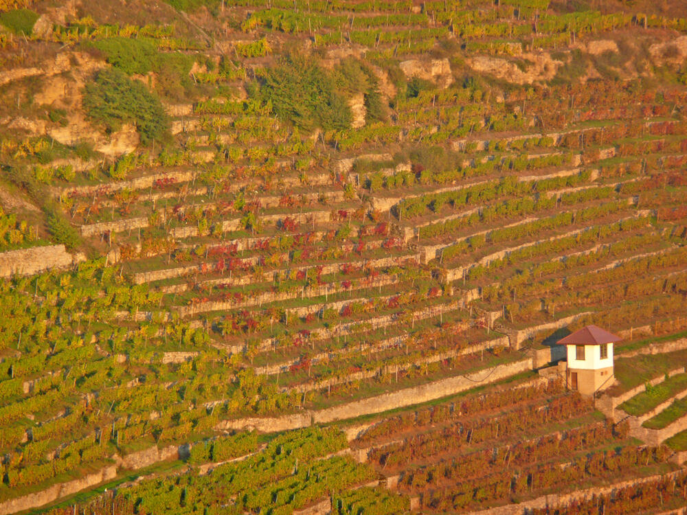 Roßwager Halde &copy; Franz Höchtl