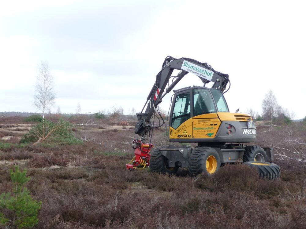 Entkusseln &copy; Dr. Björn Conrad