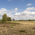 DBU-Naturerbefläche Prösa  © Norbert Rosing