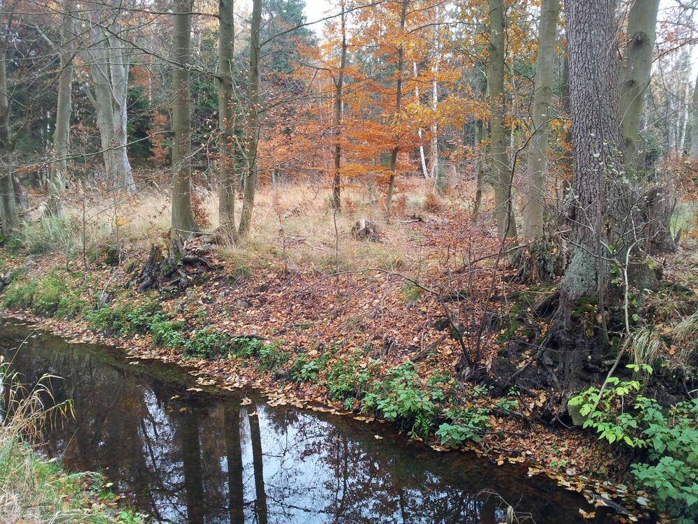 DBU-Naturerbe © DBU Naturerbe GmbH