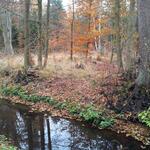 DBU-Naturerbe © DBU Naturerbe GmbH