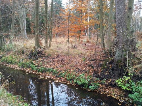 DBU-Naturerbe © DBU Naturerbe GmbH